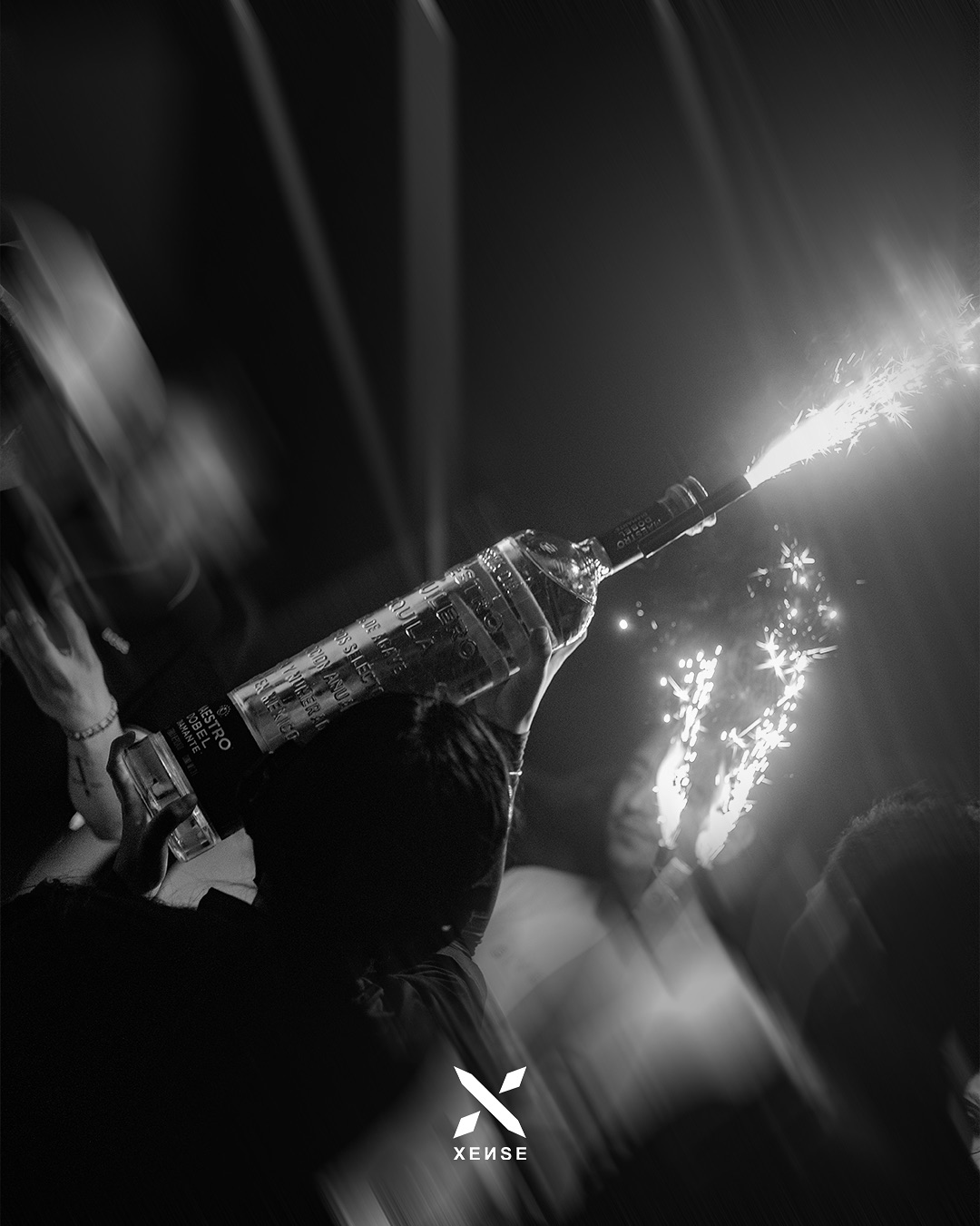 Foto de la galería 3