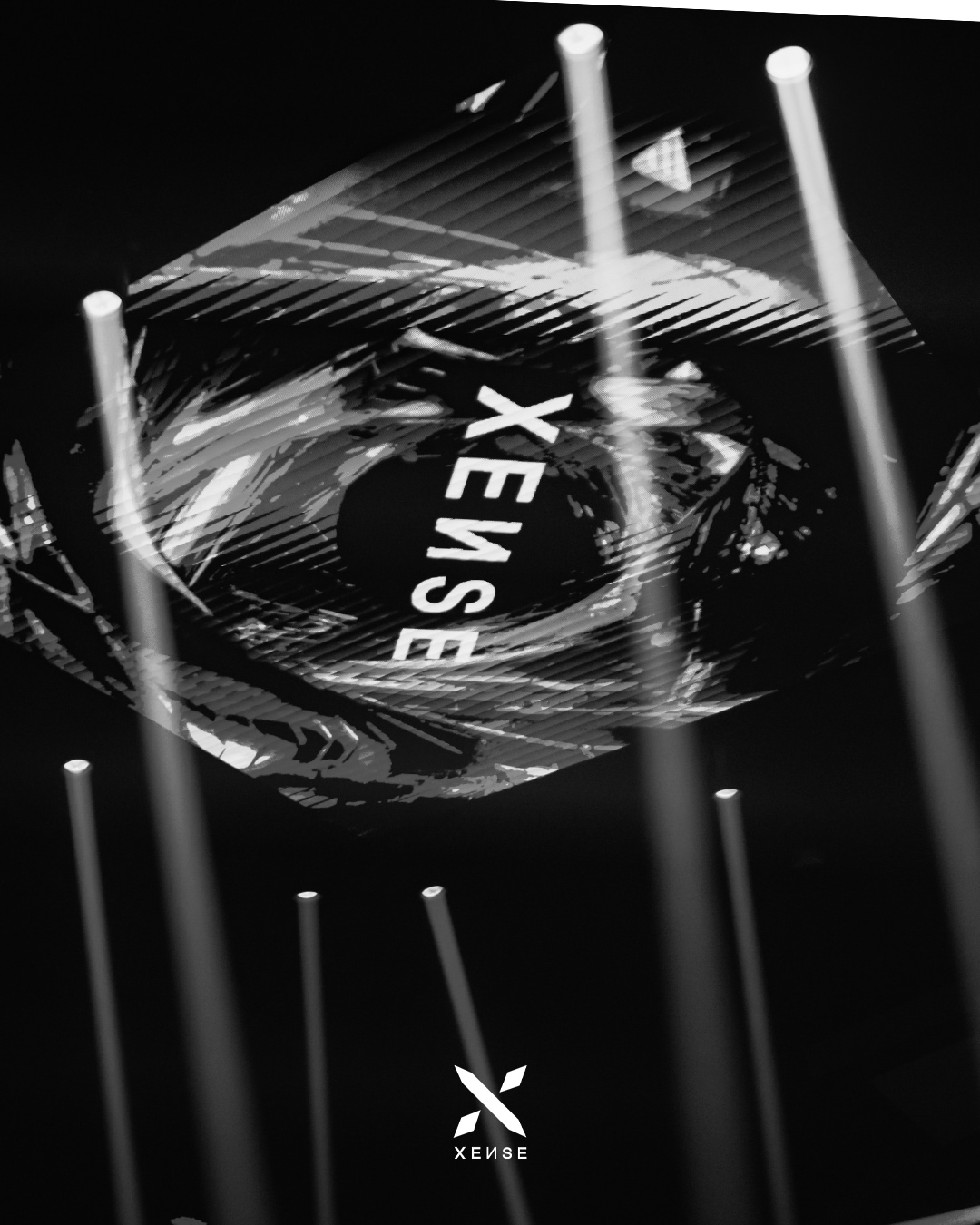 Foto de la galería 5