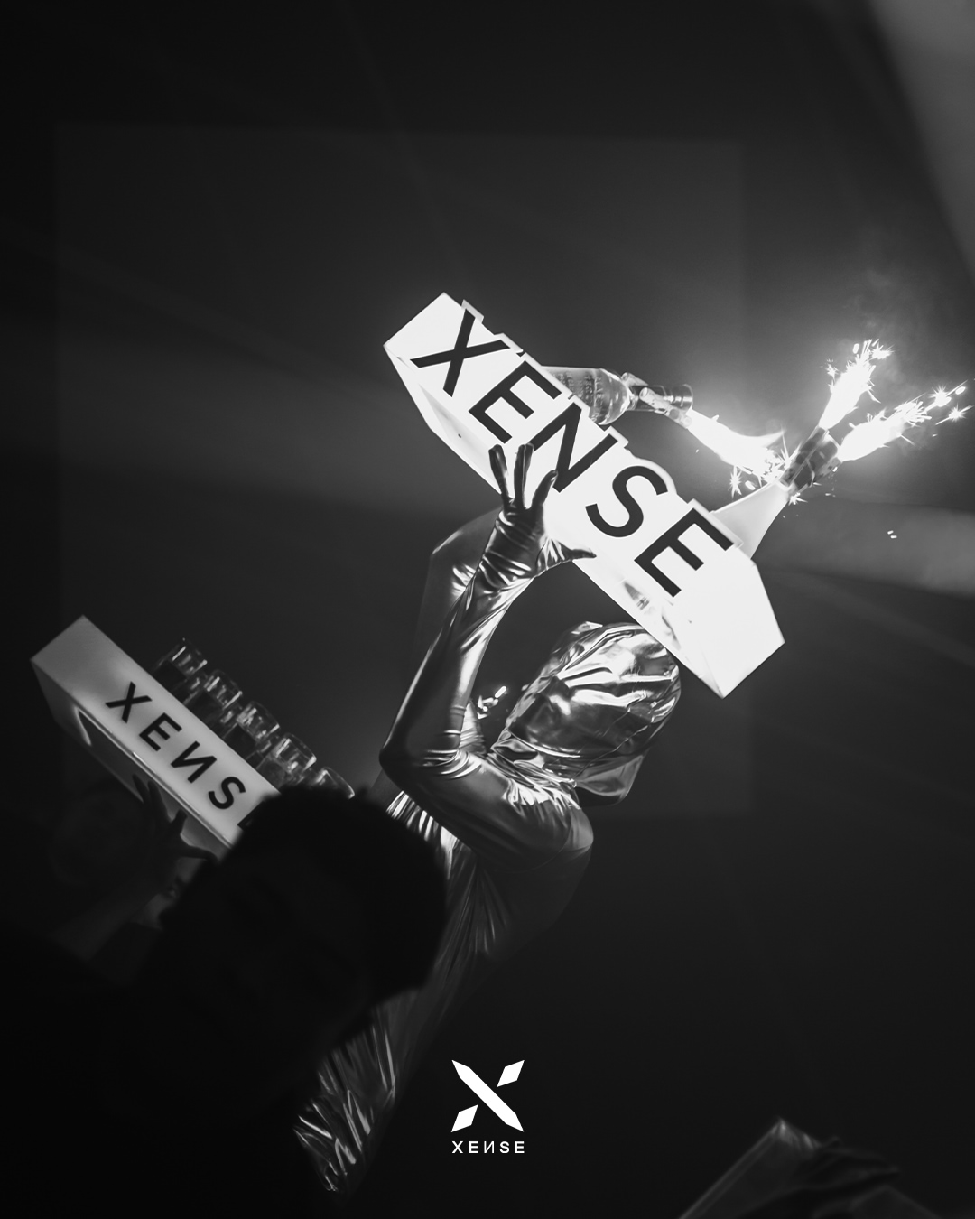 Foto de la galería 7